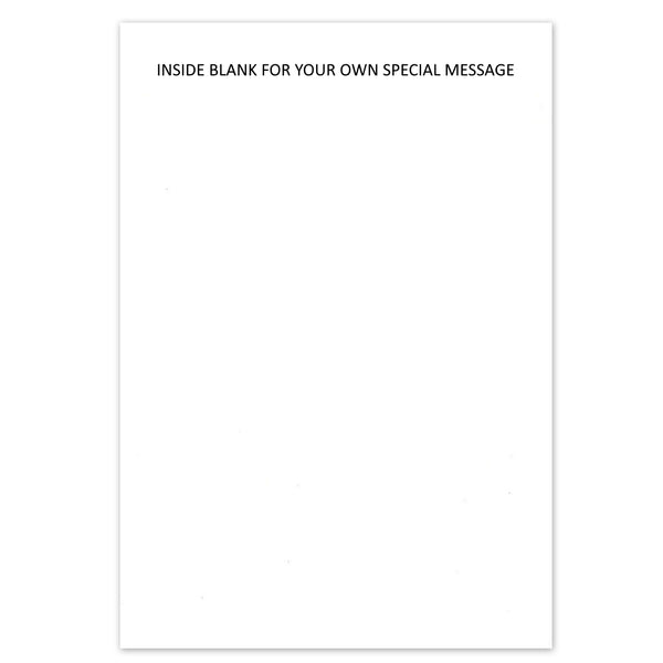 Funny Get Well Soon Card - 'Tis but a scratch! Black Knight Monty Pyth ...