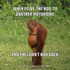 The Ultimate Motorbike Meme Book - Funny Biker Humour: for Motorcycle Enthusiasts, Riders and Weekend Warriors - That Card Shop