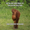 The Ultimate Fishing Meme Book: Funny Angling Humour for Fishermen and Tackle Addicts