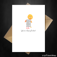 Cute Pun Birthday Card - You're no Spring Chicken! - That Card Shop