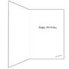 Funny Birthday Card - Once upon a time there was an old person - That Card Shop