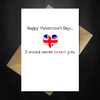 Funny Valentines Day Card - I would never brexit you! - That Card Shop