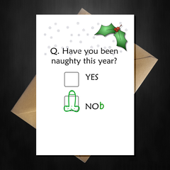 Funny Christmas Card - Have you been naughty? - That Card Shop